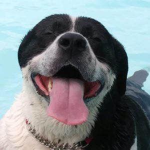 Meet your Posher, Cudi